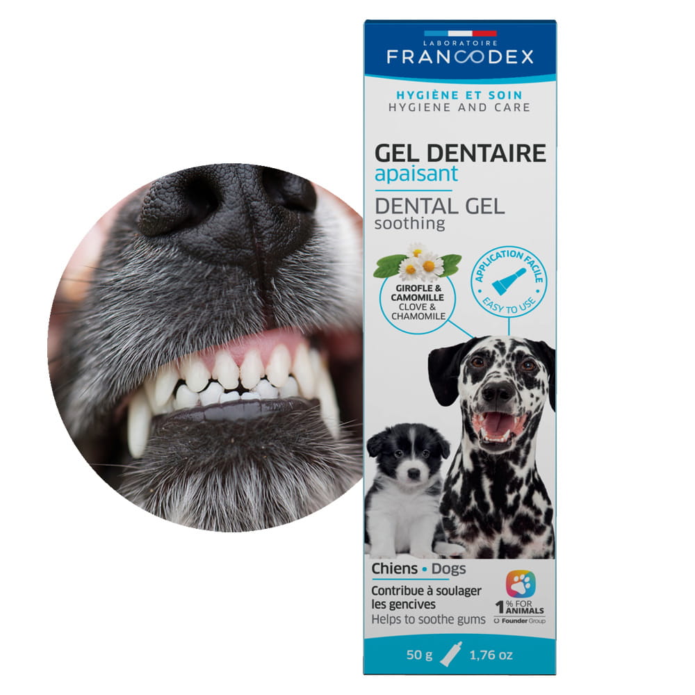 Francodex Żel Dentystyczny Dla Psa Łagodzący i Przeciwzapalny 50g